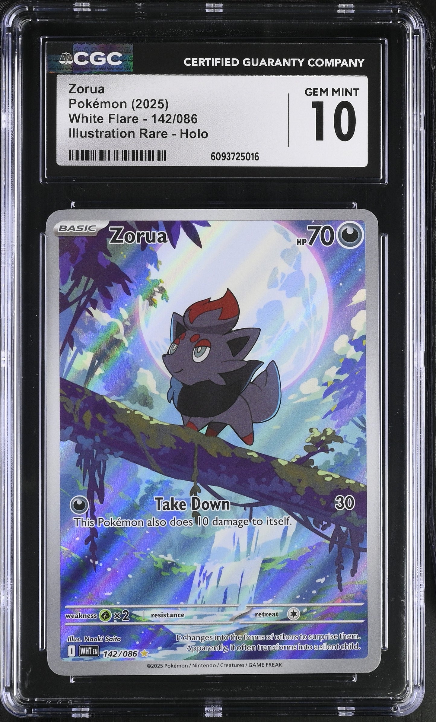 Zorua