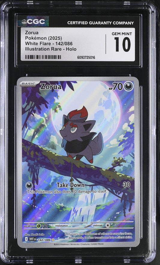 Zorua